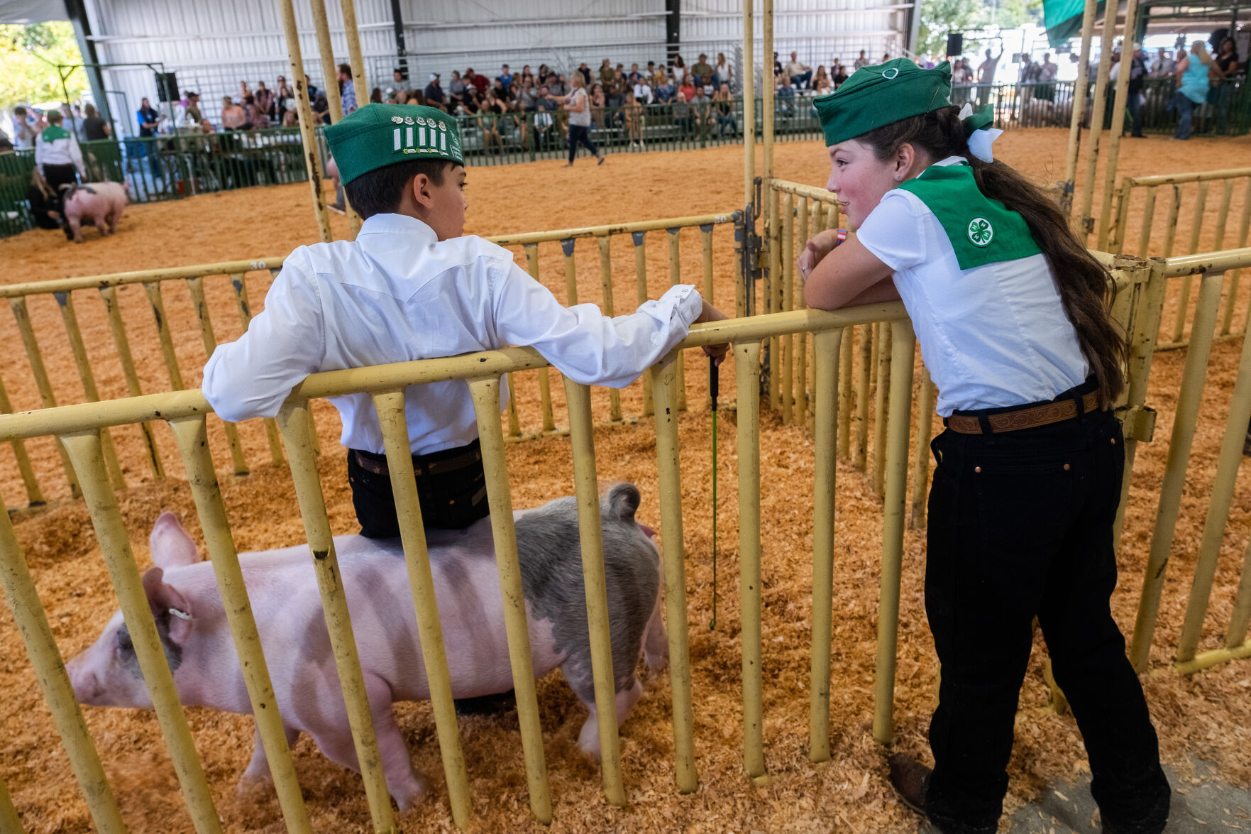 4-H at the Fair